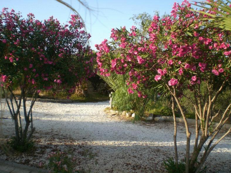 Casas Rurales Cortijo Torreblanca Parque Cabo De Gata El Pozo de los Frailes Εξωτερικό φωτογραφία