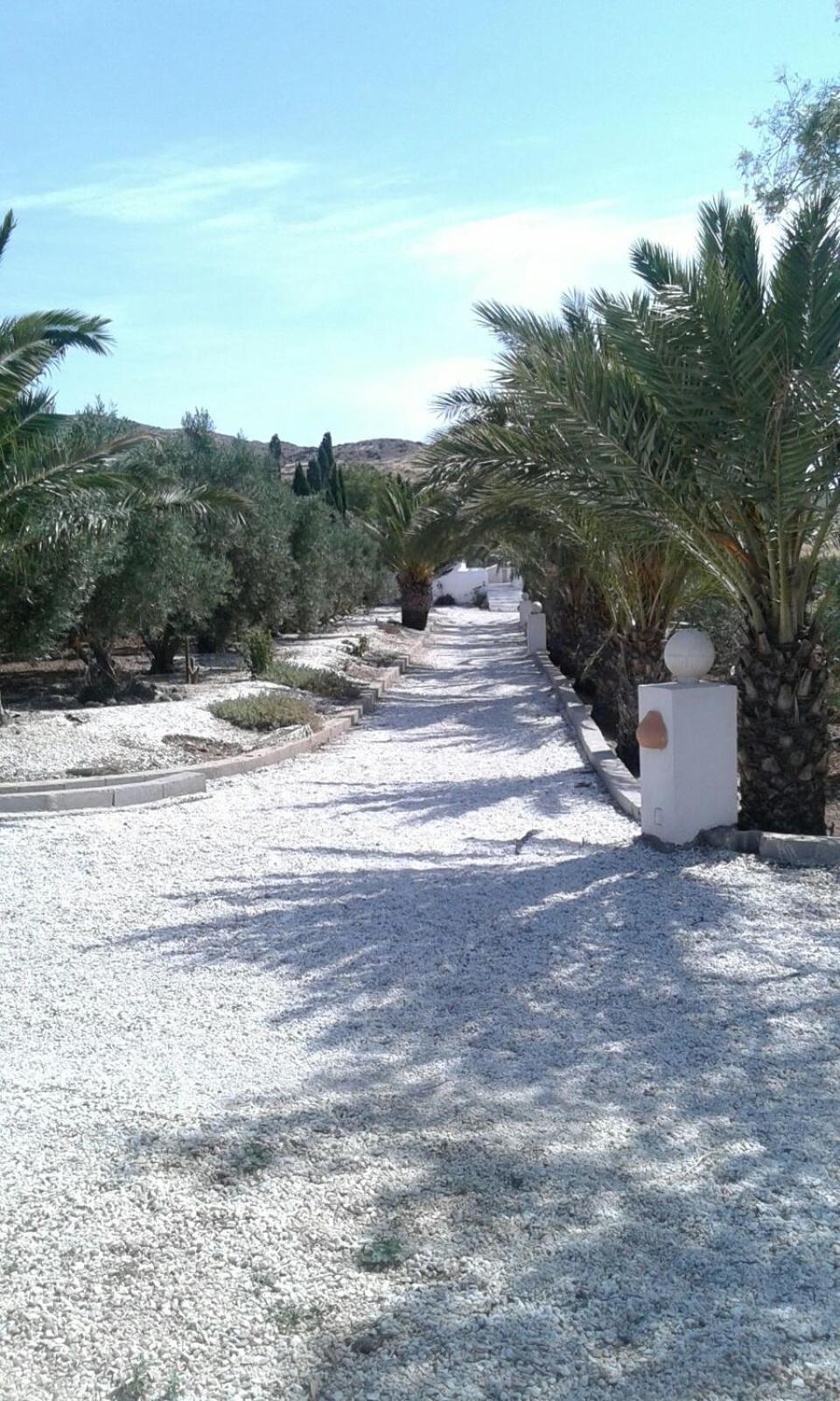 Casas Rurales Cortijo Torreblanca Parque Cabo De Gata El Pozo de los Frailes Εξωτερικό φωτογραφία