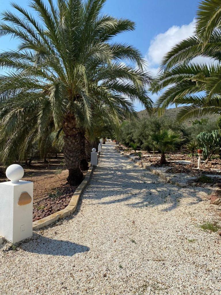 Casas Rurales Cortijo Torreblanca Parque Cabo De Gata El Pozo de los Frailes Εξωτερικό φωτογραφία