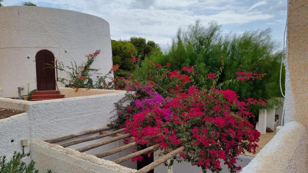 Casas Rurales Cortijo Torreblanca Parque Cabo De Gata El Pozo de los Frailes Εξωτερικό φωτογραφία