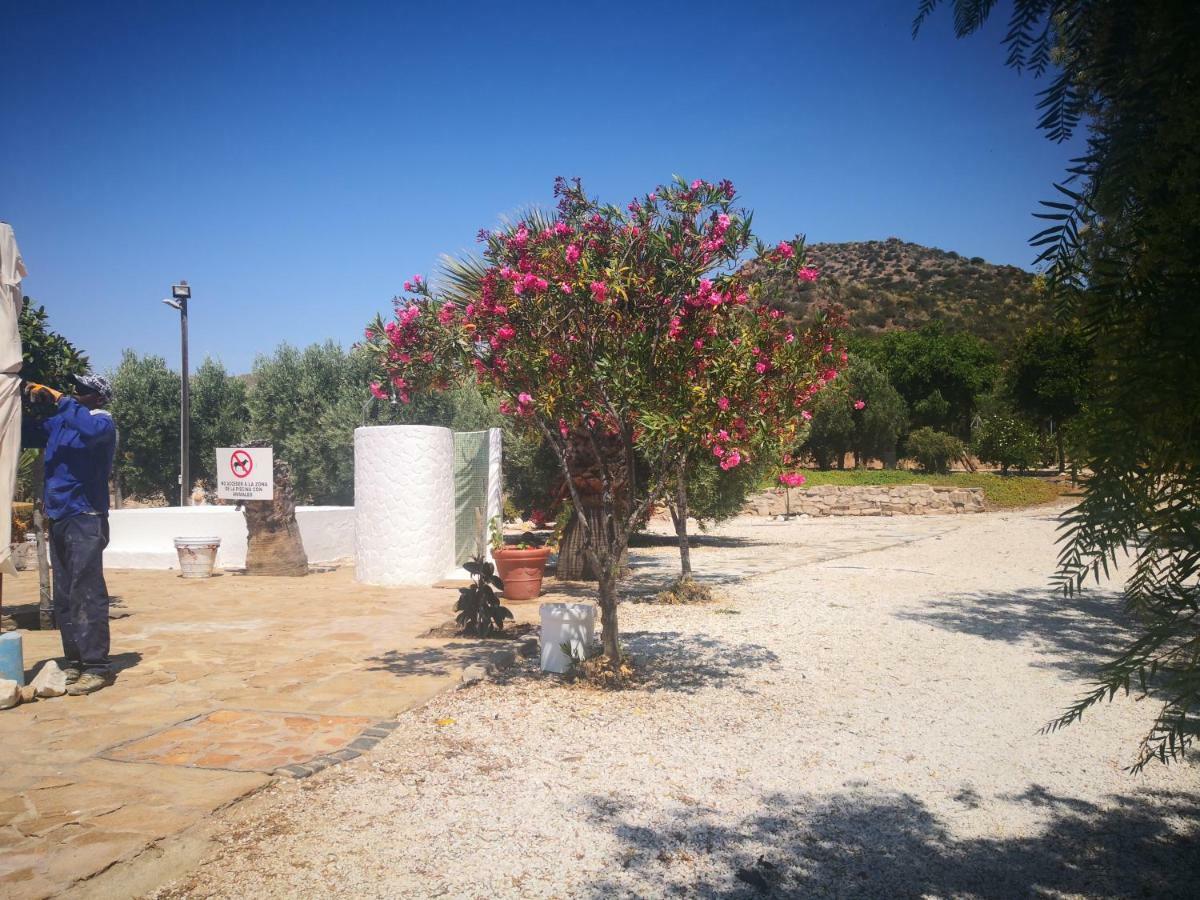 Casas Rurales Cortijo Torreblanca Parque Cabo De Gata El Pozo de los Frailes Εξωτερικό φωτογραφία