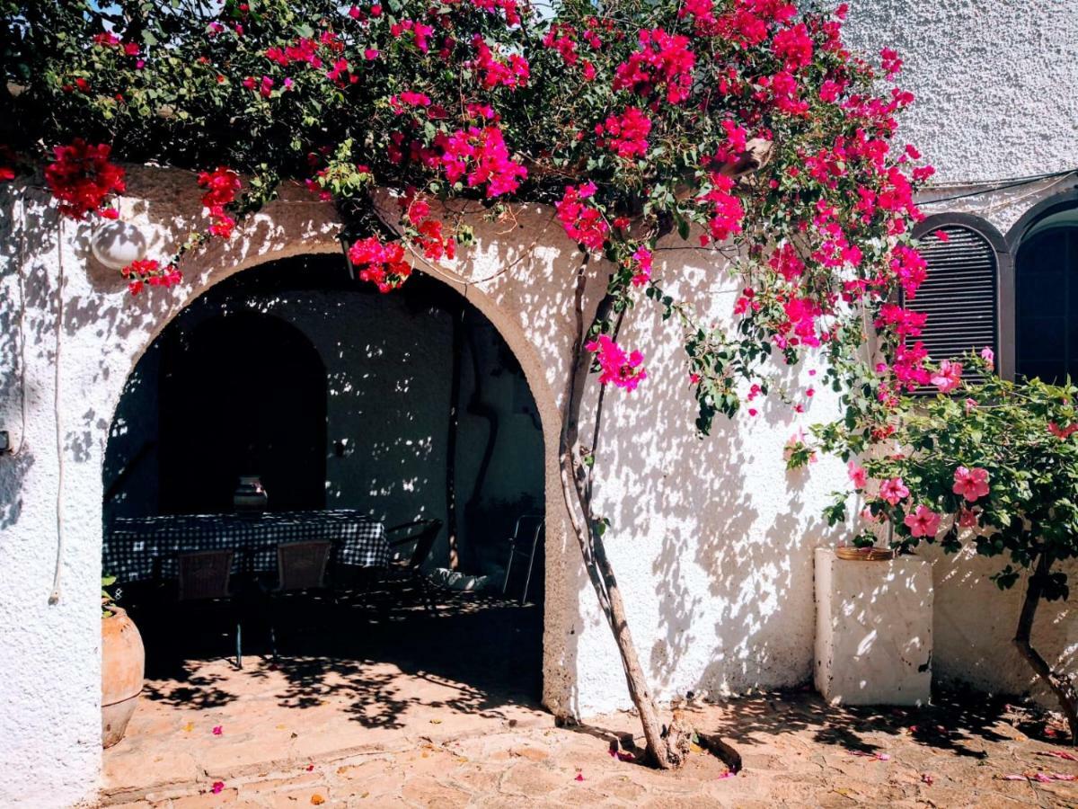 Casas Rurales Cortijo Torreblanca Parque Cabo De Gata El Pozo de los Frailes Εξωτερικό φωτογραφία